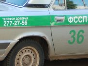 Приставы задержали женщину.
