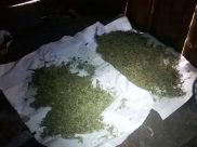 Наркотики.