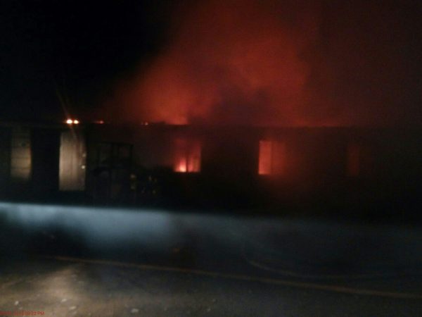 В пожаре в воронежском приюте сгорели 50 щенков
