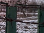 Молодой человек отправится в тюрьму.