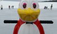 Весна сменит зиму на этой неделе.