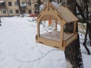 Погода будет идеальна для любителей зимних прогулок.