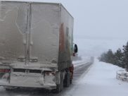 Мужчина привез орехи в Воронеж и выгрузил на складе.