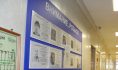 В Воронежской области ищут 457 людей.
