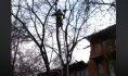 Спасатели сняли кота с высоты.