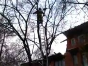 Спасатели сняли кота с высоты.