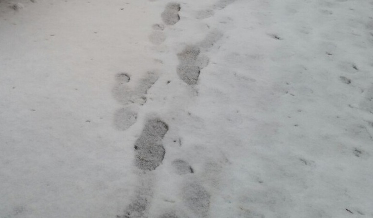След обуви на снегу