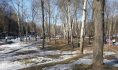 В Воронеж придет потепление.