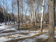 В Воронеж придет потепление.