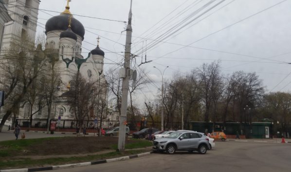 Сколько стоят вербы перед Вербным воскресеньем.