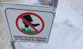 Весна пока будет снежной и морозной.