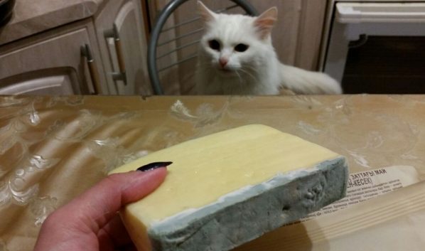 В магазинах вы можете купить некачественный сыр.