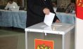 Воронежцы начали голосовать.