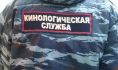 Собака помогла выйти на след подозреваемого.