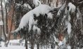 Снегопады оказались аномальными для марта.