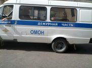 Полиция поймала злоумышленницу.