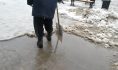 Воронежцу предстоит хорошенько поработать.
