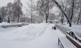 В марте выпало аномальное количество осадков.