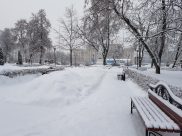 В марте выпало аномальное количество осадков.