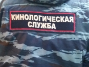 На месте работал кинолог со служебной собакой.