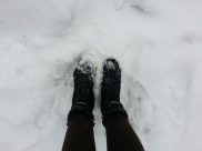Зима уходит из Воронежа.