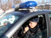 Стражи порядка задержали злоумышленника.