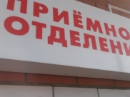 Воронежцы обращаются к медикам после укусов клещей.