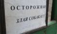 Украли собаку.
