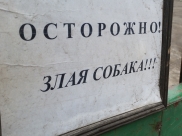 Украли собаку.