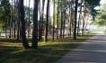 Парки Воронежа обрабатывают от комаров и клещей.