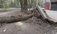 Горожан предупреждают о сильном ветре.