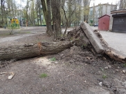 Горожан предупреждают о сильном ветре.