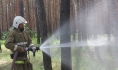 Пожарные справились с возгоранием.
