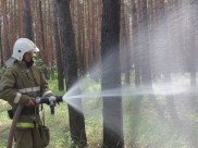 Пожарные справились с возгоранием.