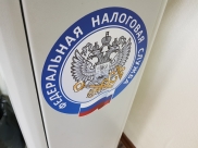 ФНС также проводит проверку.