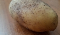 Наркотики были спрятаны в клубне картофеля.