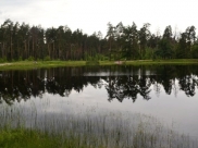 В заповеднике воронежцев просят купаться в озере «Грязном», а «Чистое» оставить природе.