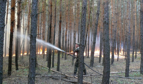 Лесные пожары крайне опасны.