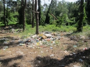Свалки мусора в лесу.