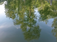 В городе будет тепло, но пройдут небольшие дожди.