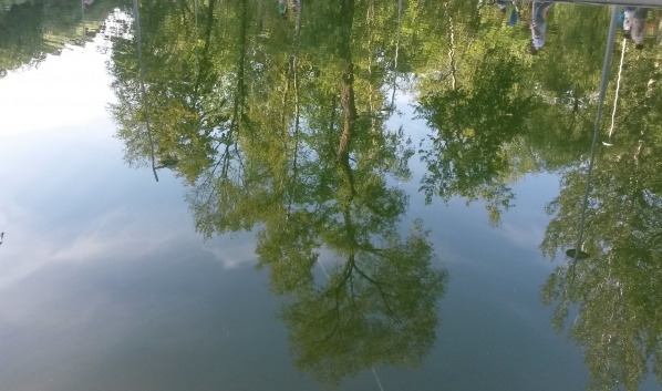 В городе будет тепло, но пройдут небольшие дожди.