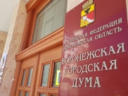 Воронежская городская Дума.