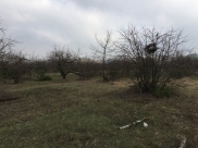 Участок хотели застроить многоэтажками.