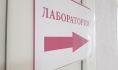 Заболеваемость коклюшем выросла в разы.
