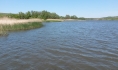 Санитарные врачи призывают купать лишь в чистых водоемах.