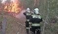 Воронежские спасатели ликвидируют крупный ландшафтный пожар.