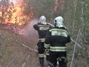 Воронежские спасатели ликвидируют крупный ландшафтный пожар.