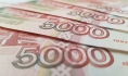 Деньги выделили из федерального бюджета.