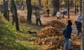 Субботник в Бринкманском саду.