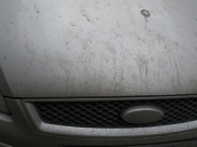 Пытались угнать Ford.